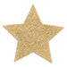 Flash glitter pasties | Star - Mail & Female