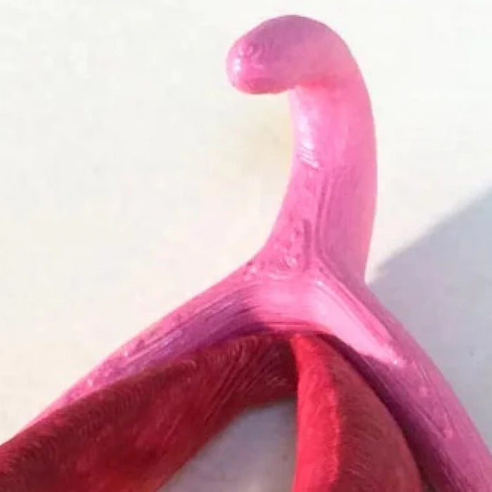 Waar zit de clitoris? De anatomie van de clitoris in 3D!