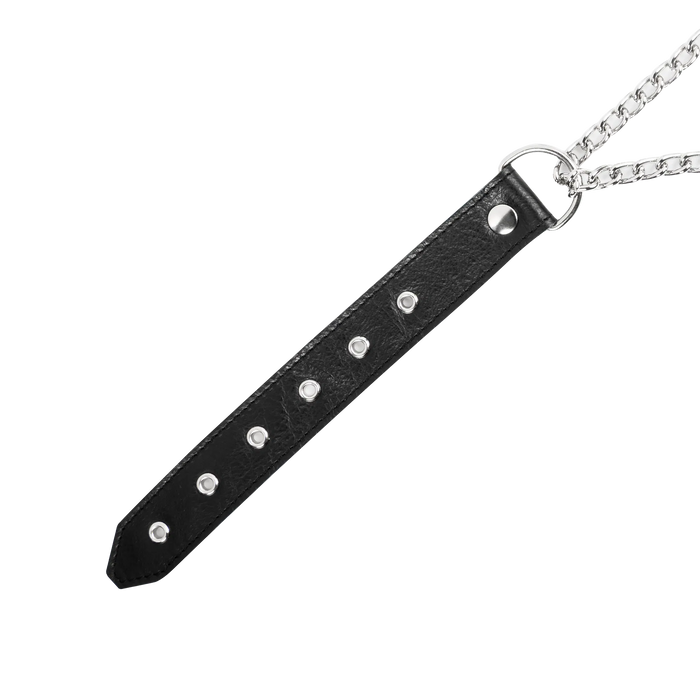 Leren collar met slipketting | collar