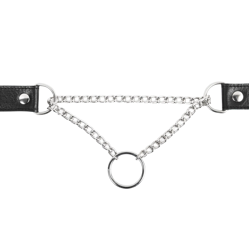 Leren collar met slipketting | collar
