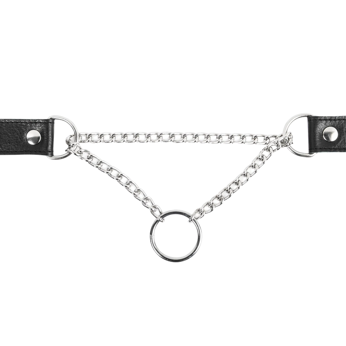 Leren collar met slipketting | collar