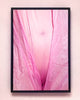 Daantje Bons | Veiled | A3 Poster