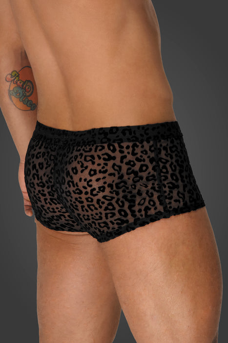 Noir Handmade |  shorts | leopard mesh