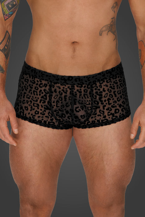 Schwarz handgefertigt | Shorts | Wet-Look und 3D-Mesh