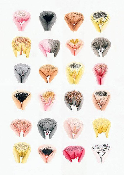 Art print uit The Vulva Gallery serie - Mail & Female