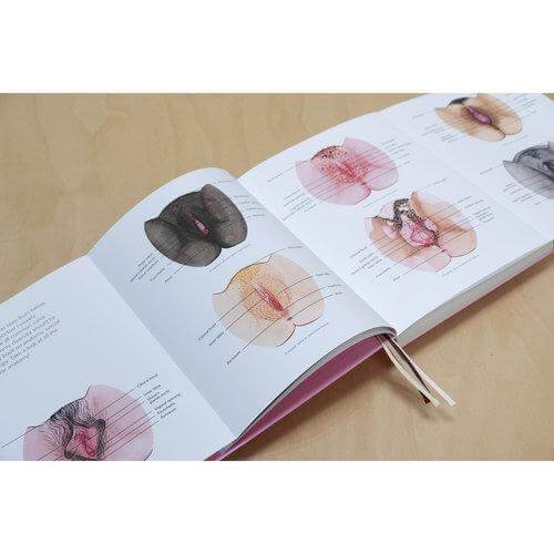The Vulva Gallery boek A Celebration of Vulva Diversity door illustrator Hilde Atalanta - Mail & Female
