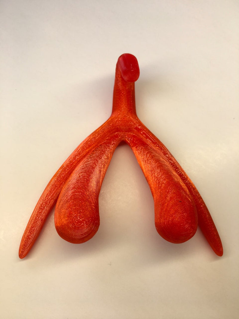 Love Academy | Clitoris in 3D | de ware omvang