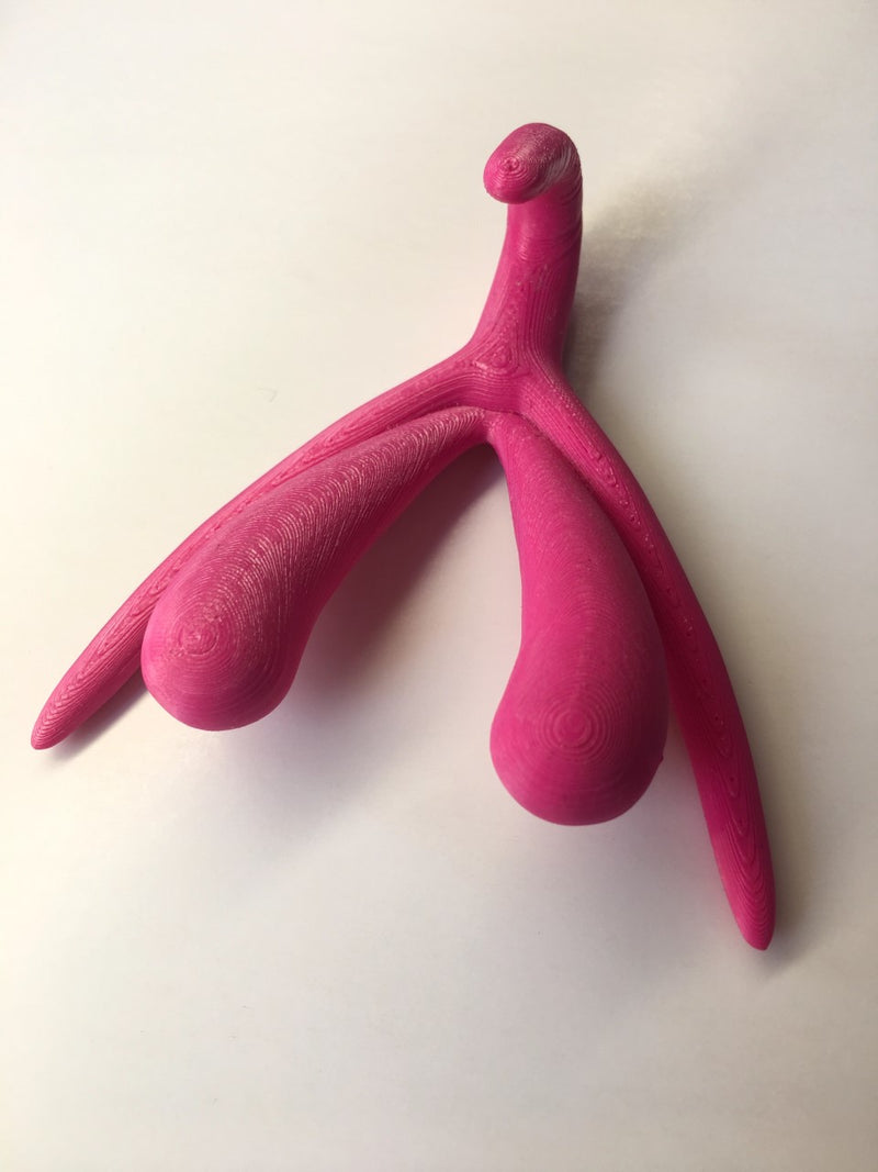 Love Academy | Clitoris in 3D | de ware omvang