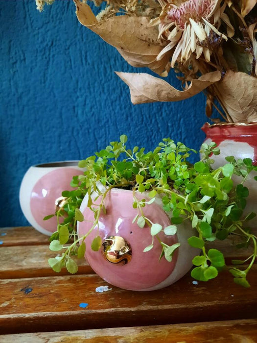 House of Daan | Booby planter