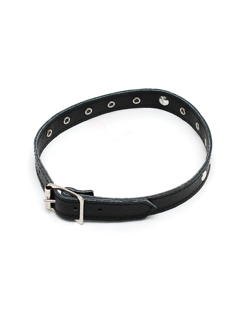 Leather collar with studs